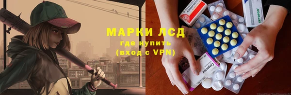 ГАЛЛЮЦИНОГЕННЫЕ ГРИБЫ Бородино