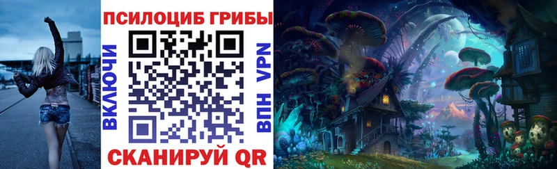 Галлюциногенные грибы Cubensis  хочу наркоту  omg ССЫЛКА  Новотроицк 