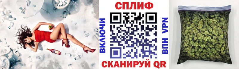 купить наркоту  Новотроицк  Бошки марихуана планчик 